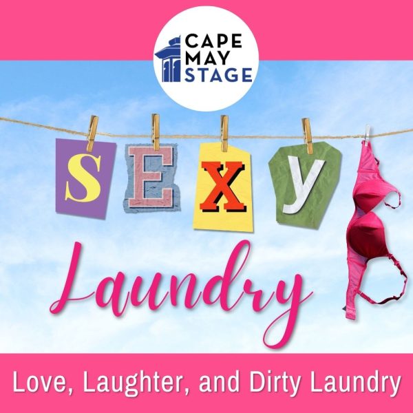 Sexy Laundry Mini Poster